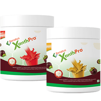 Xanth pro protein powder